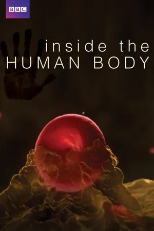 Inside the human body Inside the human body